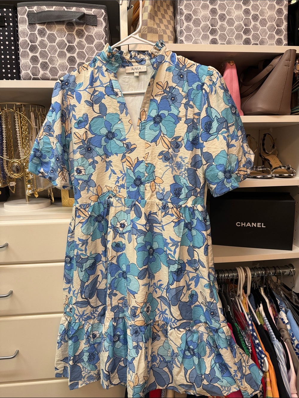 Avara  Blue Floral Cream Mini Dress